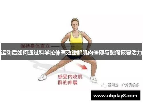 运动后如何通过科学拉伸有效缓解肌肉僵硬与酸痛恢复活力